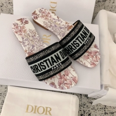 Christian Dior Slippers